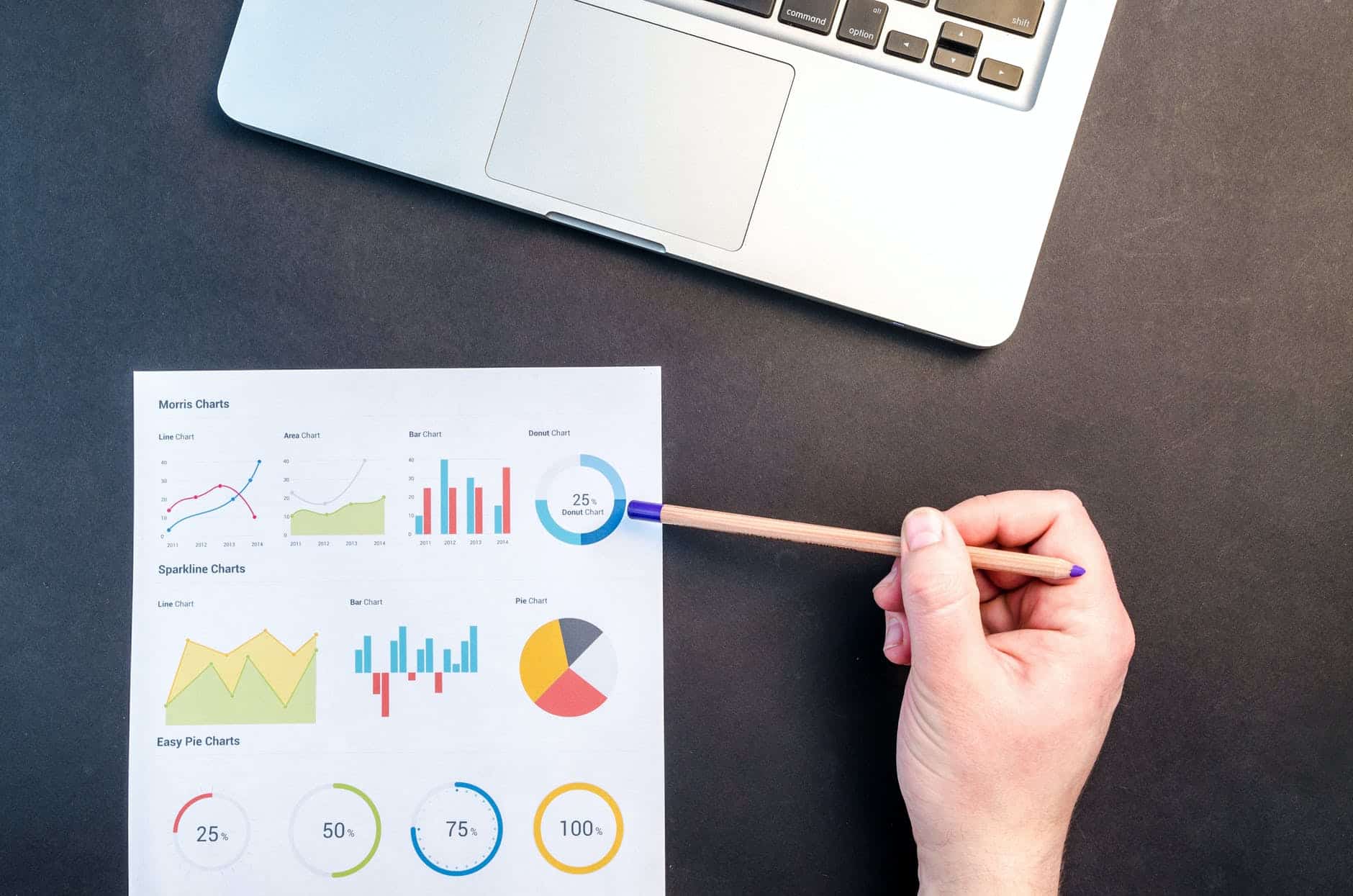 header statistieken website