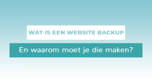 header website backup